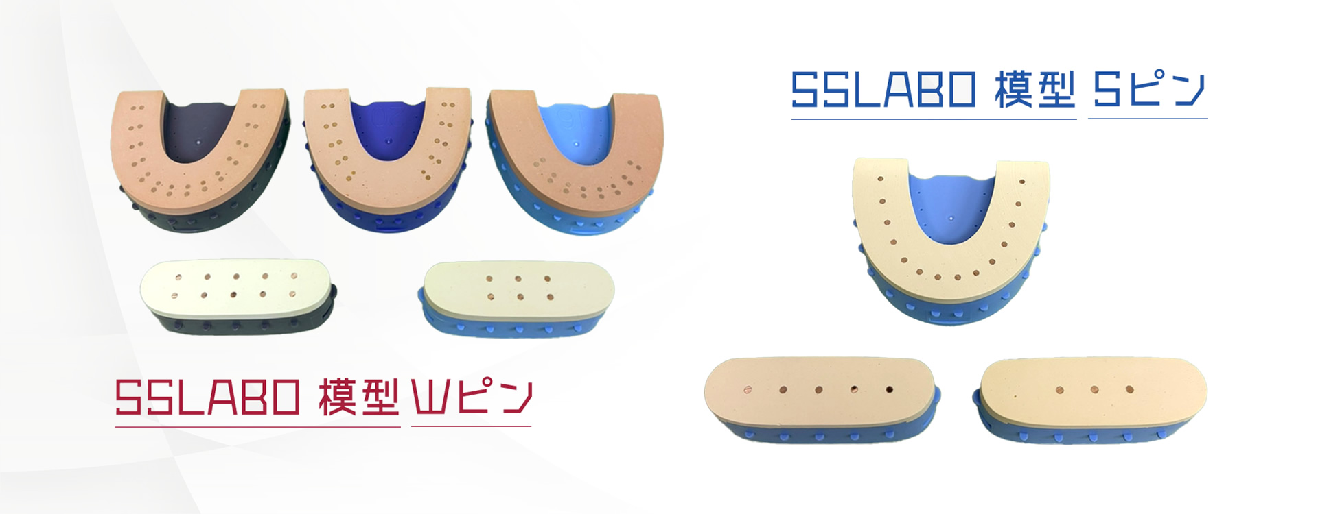 SSLABO模型