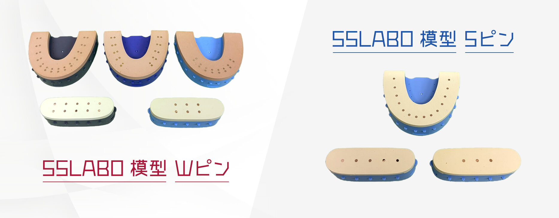 SSLABO模型